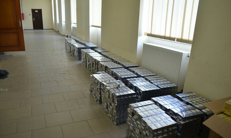 DSC 0047 800x480