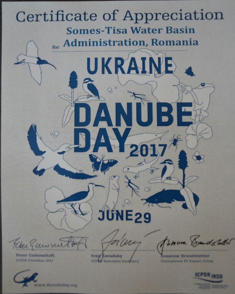 Diploma 800x1000