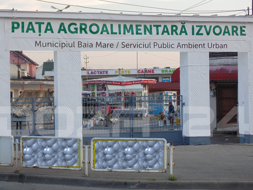 PIATA DE ALIMENTE IZVOARE