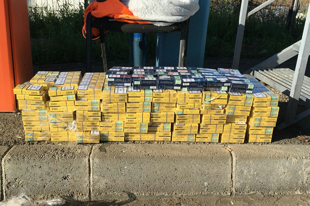 5230e96c 0ce4 4704 916c D466653e04a4 1200x800