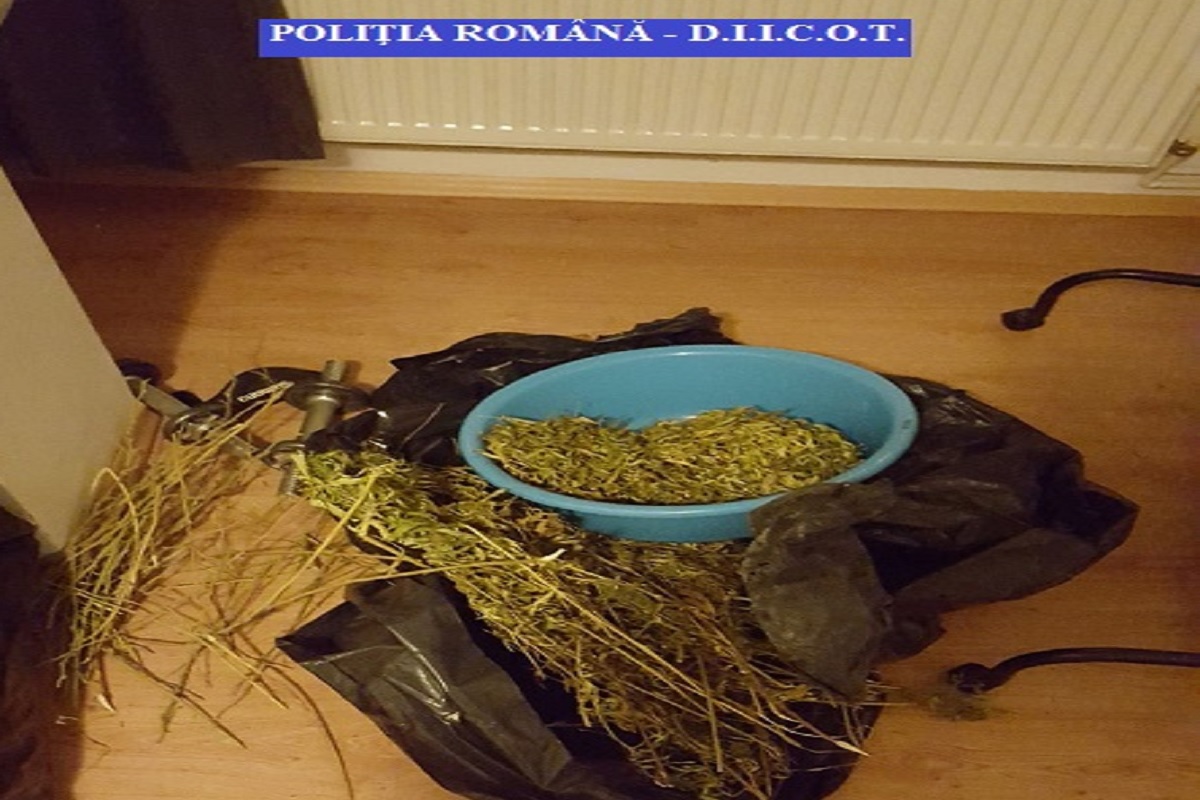 Droguri Politia