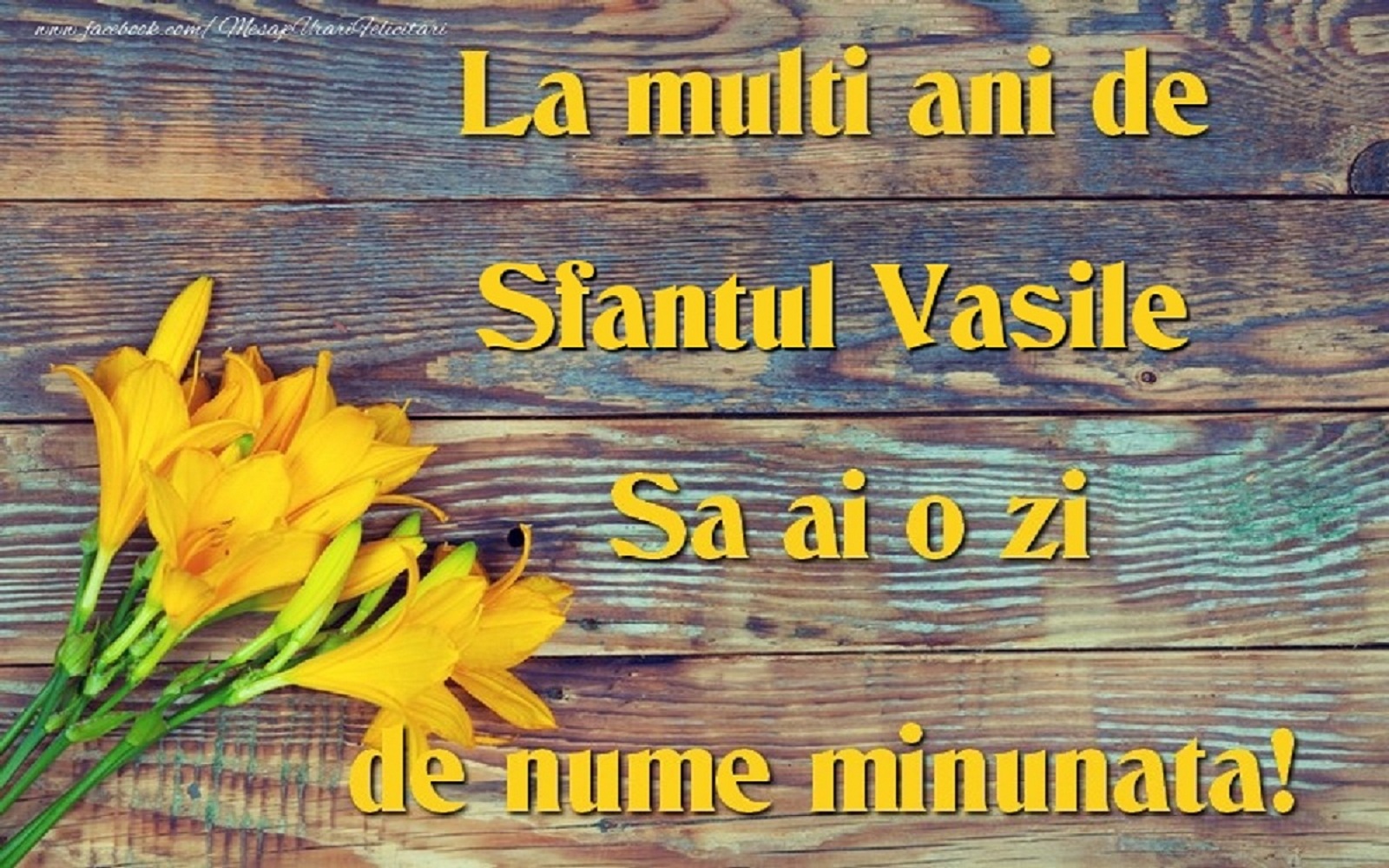 Sfantulvasile1
