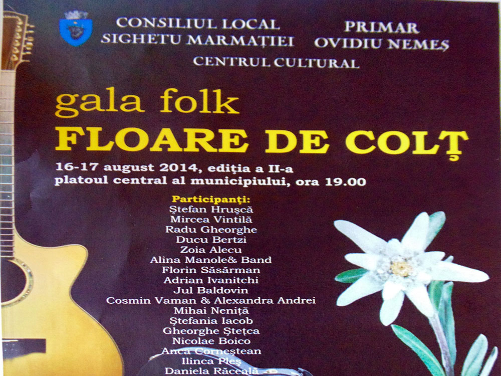 afis gala folk copy