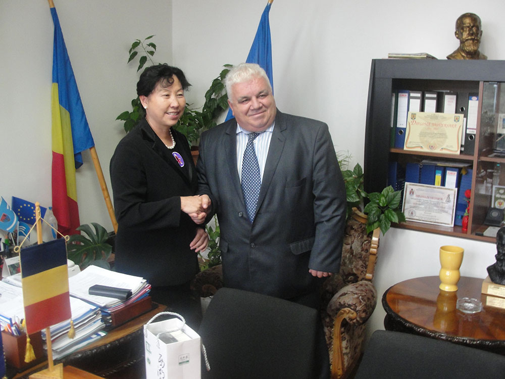 amb china copy
