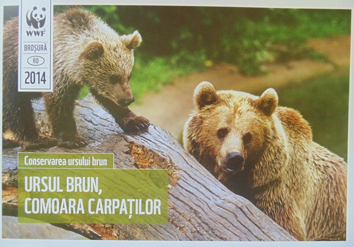 Brosura Ursul Brun