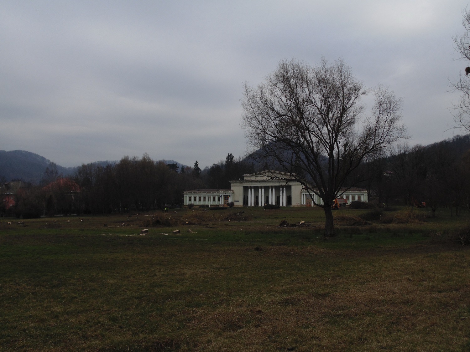 campul tineretului3