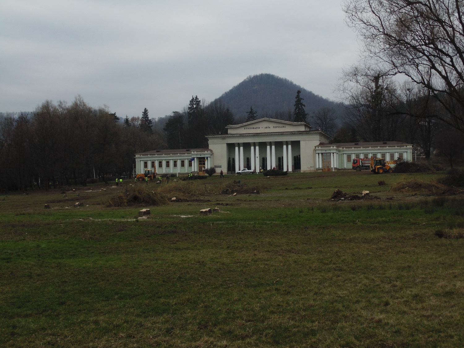 campul tineretului4