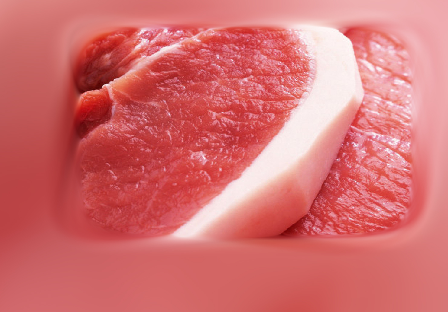 carne porc copy