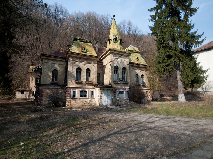 Castelul Pocol