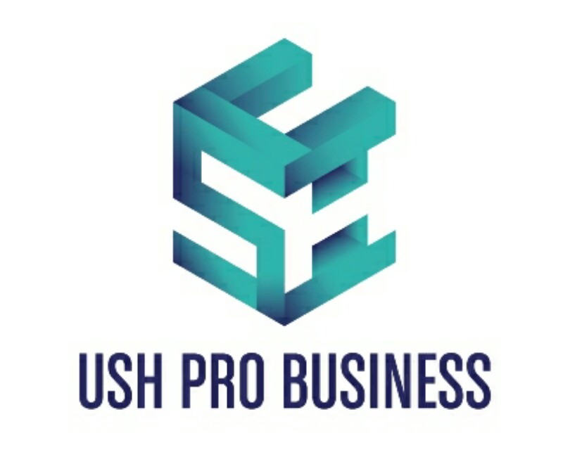 01 Logo USH ProBusiness Color Vertical 2 800x677
