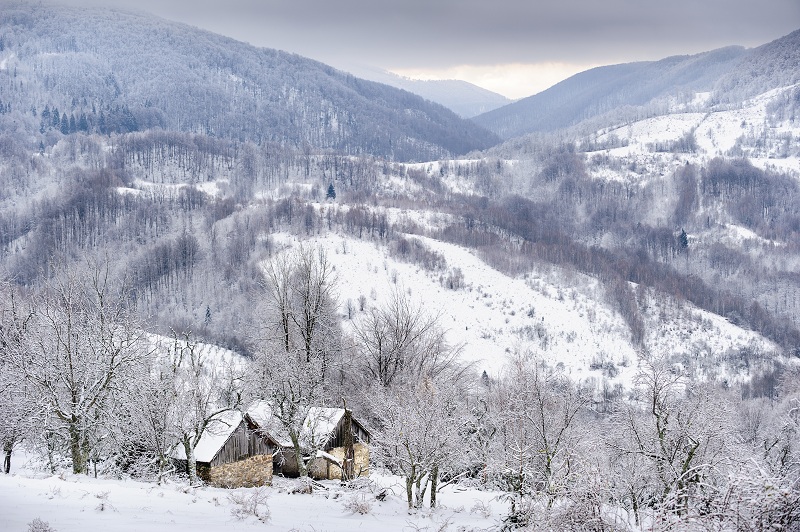 Iarna In Muntii Tarcu Copyright Obligatoriu Bogdan Comanescu