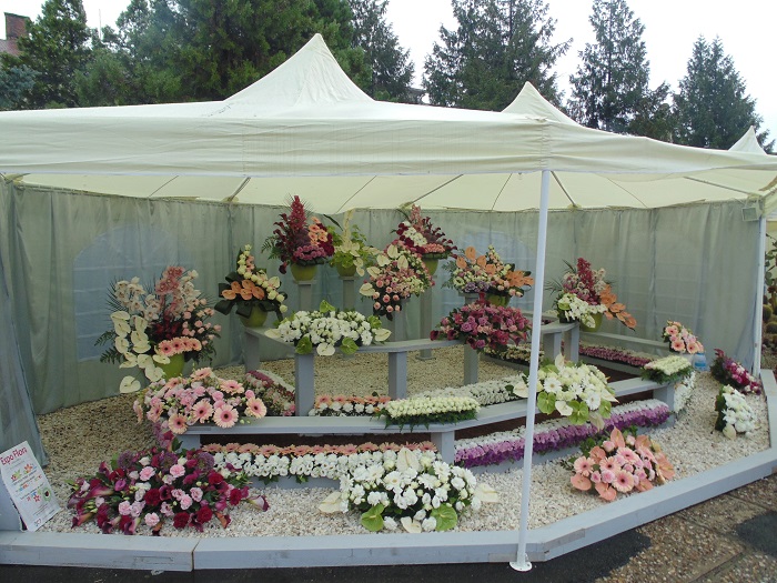 Expo Flora 2015 Deschidere