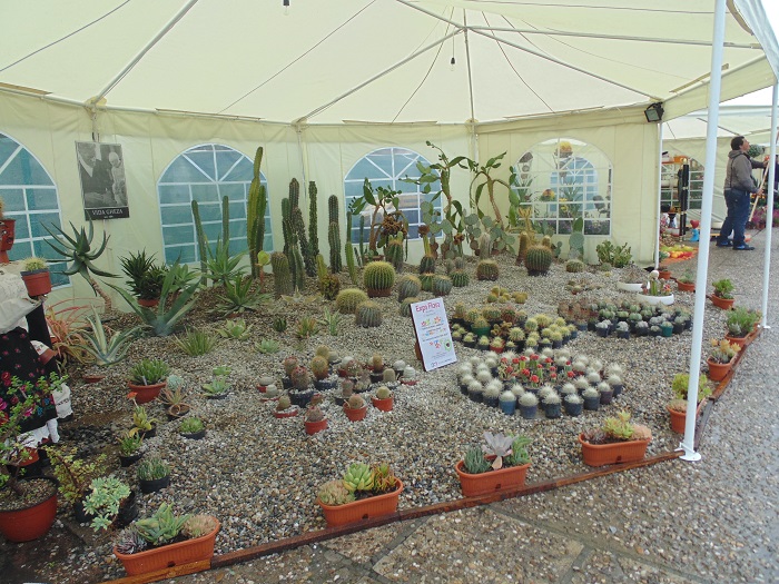 Expo Flora 2015 Deschidere1