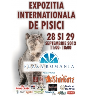 expozitie pisici