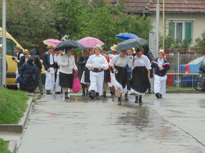 DSC00856