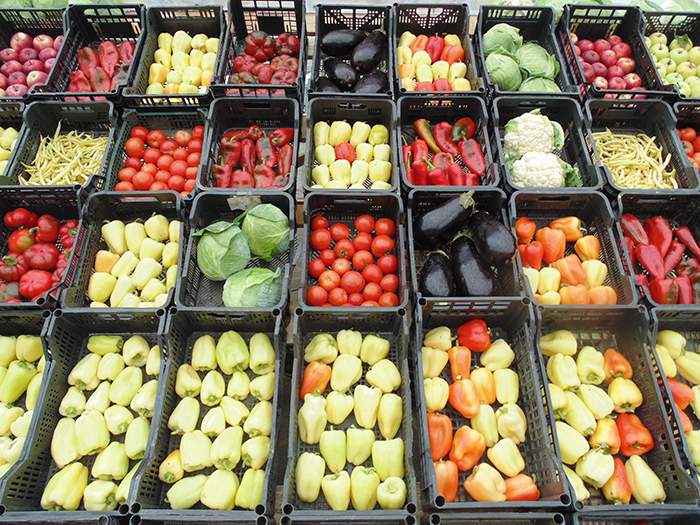 fructe si legume