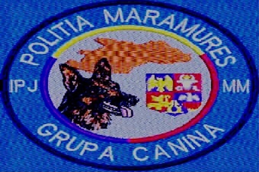 Ipj Mm Grupa Canina