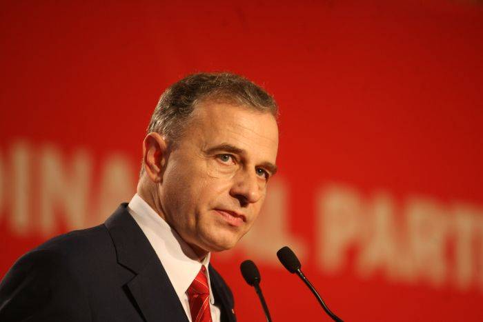 mircea geoana
