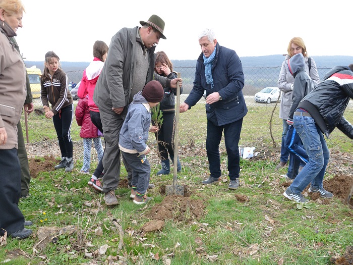 plantare arbori basesti