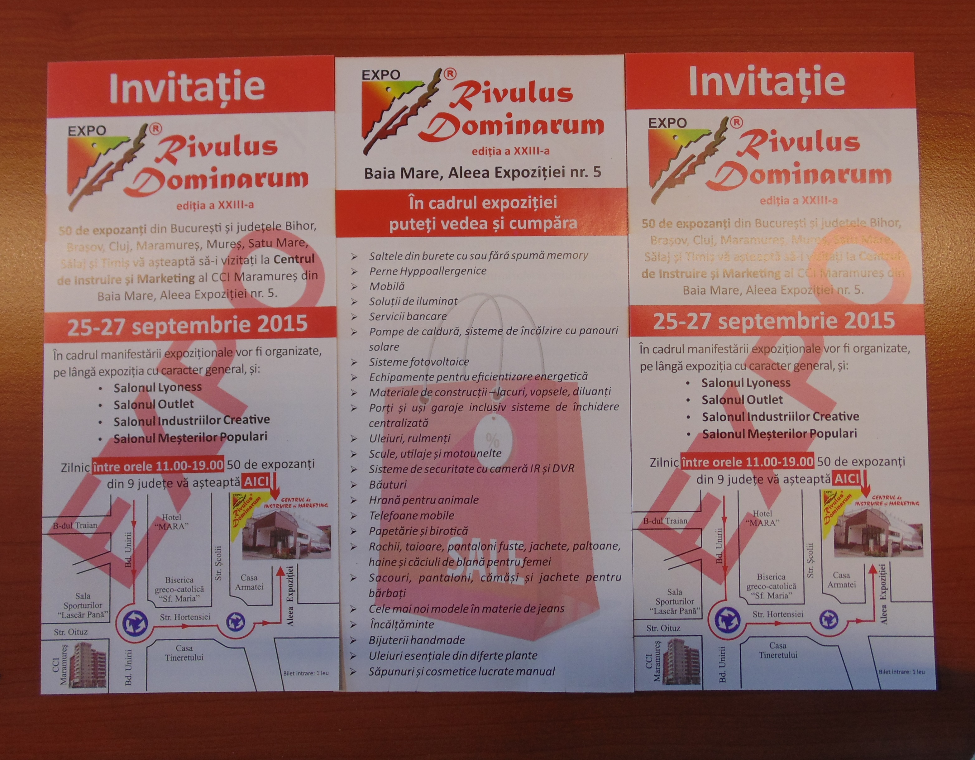 Rivulus Dominarum 2015 Copy