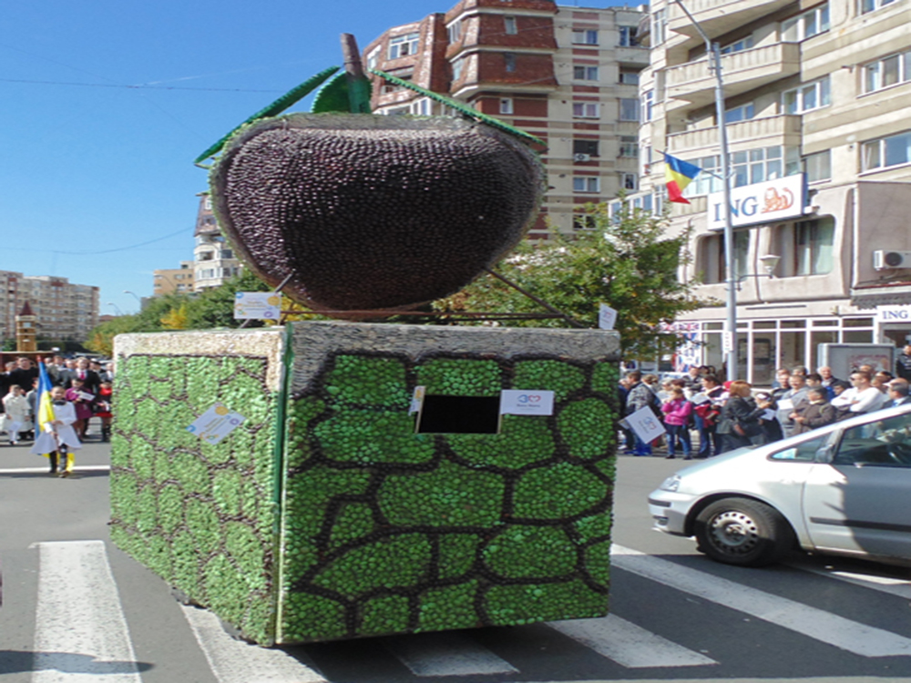 sarbatoarea castanelor 2013 castana