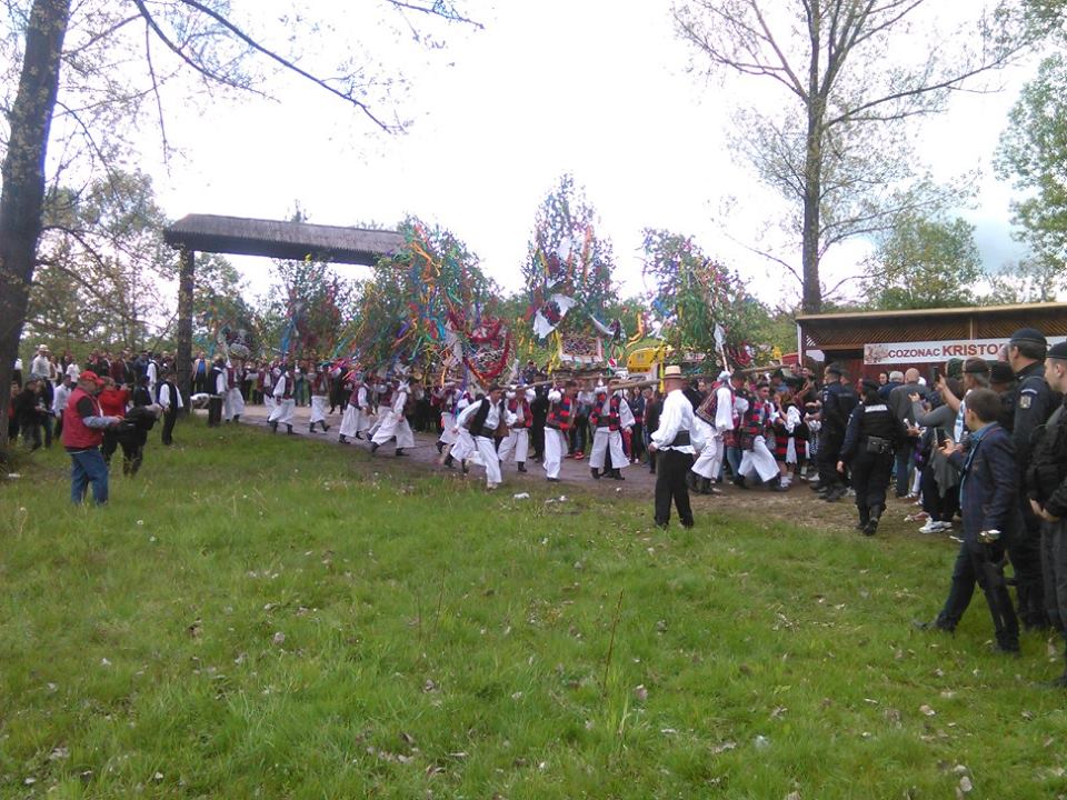 Tanja4