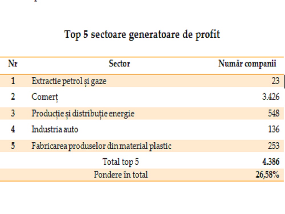 top sectoare generatoare de profit
