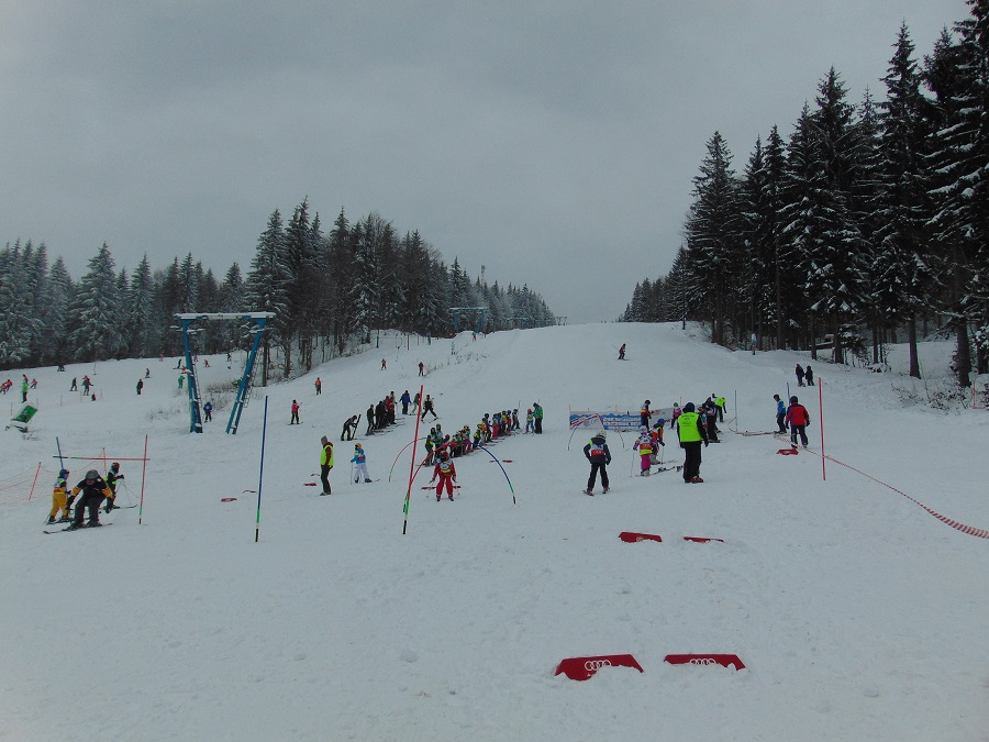 Ziua Zapezii 2016 Prim
